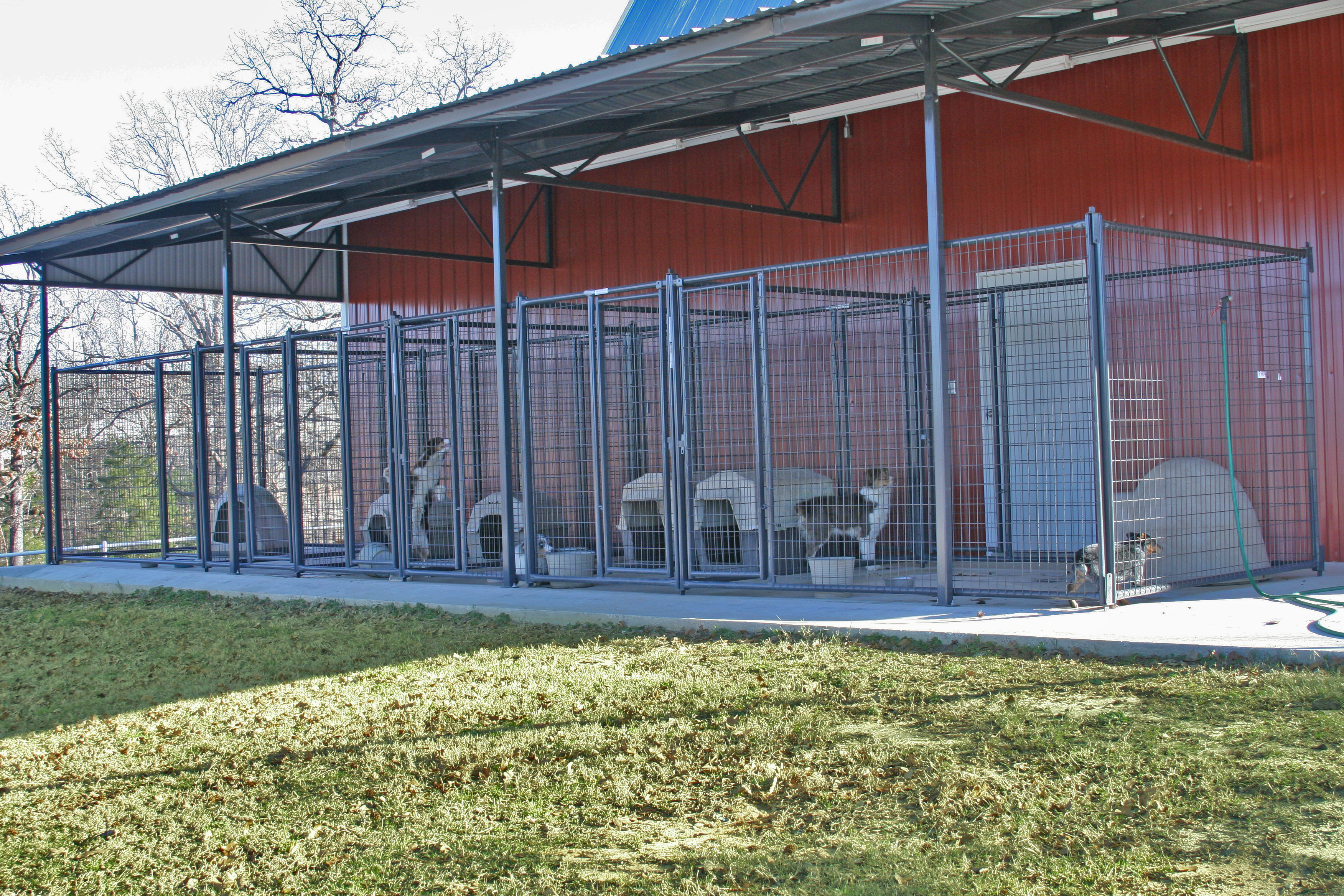 Kennels Premier Run 01.jpg